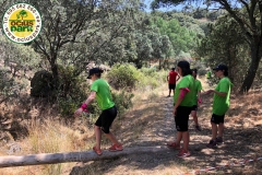 Gymkhana-TeamBuilding-Empresas-Madrid-OciusPark-AnimalRace-Gato