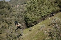 paintball-madrid-bosque-2-ociuspark