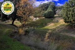 Gymkhana-Infantil-Ruta-Ambiental-Naturaleza_Livingstone-OciusPark-Madrid-9